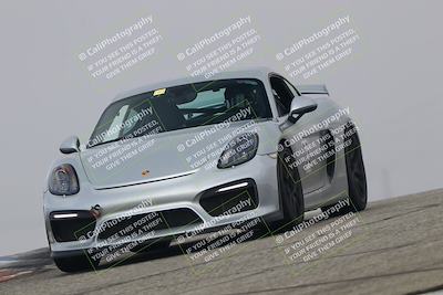 media/Nov-21-2025-Audi Club (Fri) [[8110d52e1e]]/Open Track Photos/3 Grapevine/